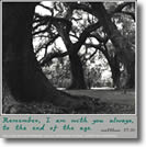 Tree Cross by Ann Smithwick