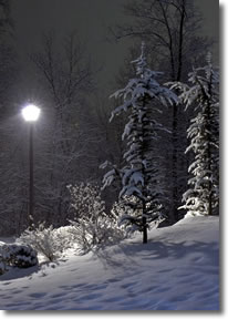 Narnian landscape with lamppost