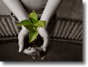 Give Give